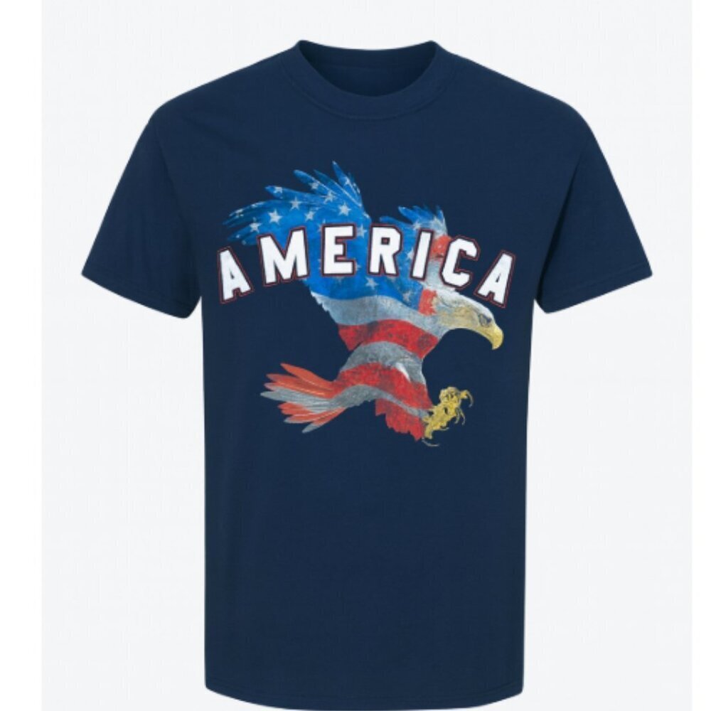 Fruit of the Loom HD Cotton America Eagle Flag Graphic T-Shirt Navy Men’s Small